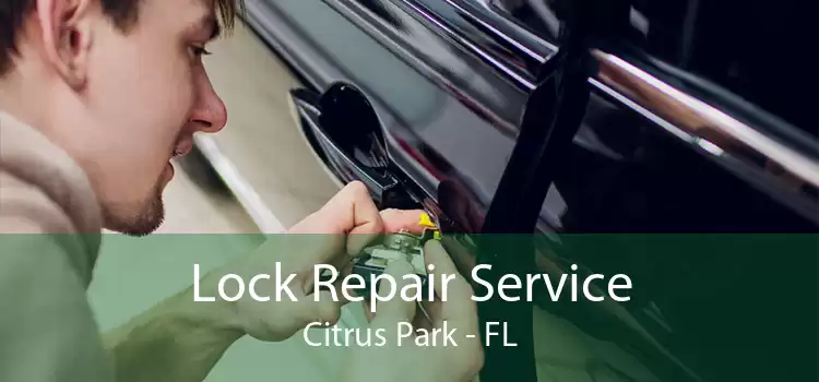 Lock Repair Service Citrus Park - FL