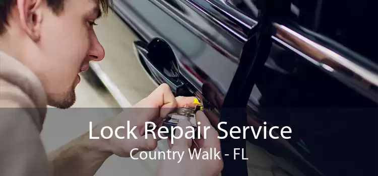 Lock Repair Service Country Walk - FL
