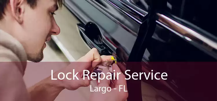 Lock Repair Service Largo - FL