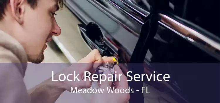 Lock Repair Service Meadow Woods - FL
