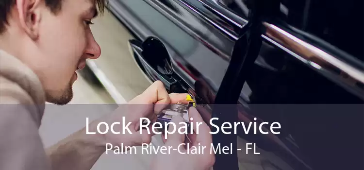 Lock Repair Service Palm River-Clair Mel - FL