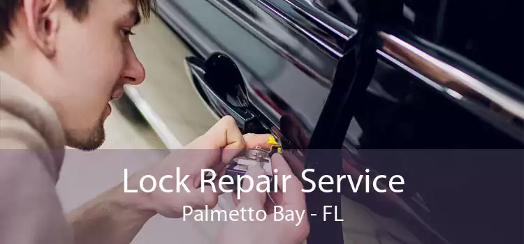 Lock Repair Service Palmetto Bay - FL