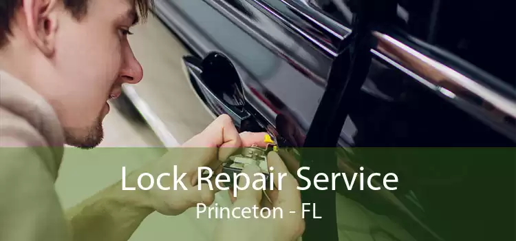 Lock Repair Service Princeton - FL