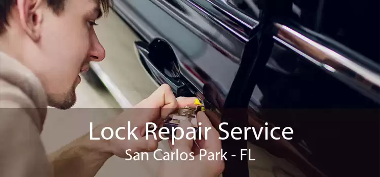 Lock Repair Service San Carlos Park - FL