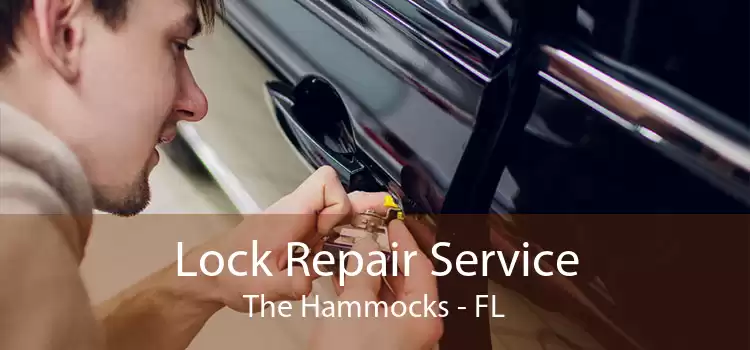 Lock Repair Service The Hammocks - FL