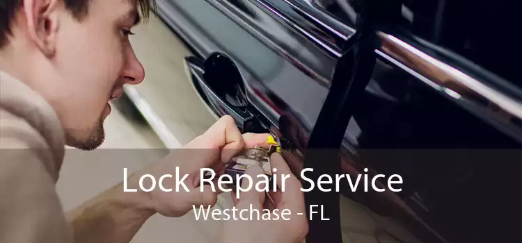 Lock Repair Service Westchase - FL