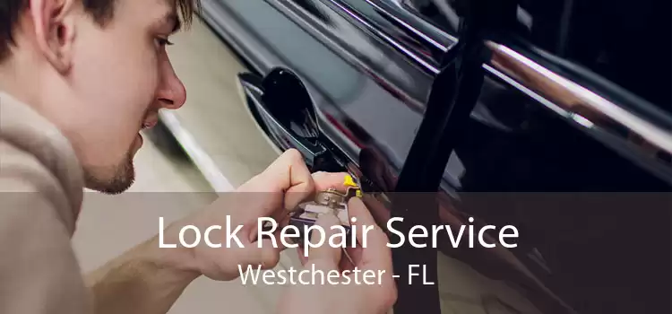 Lock Repair Service Westchester - FL