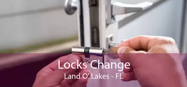 Locks Change Land O' Lakes - FL