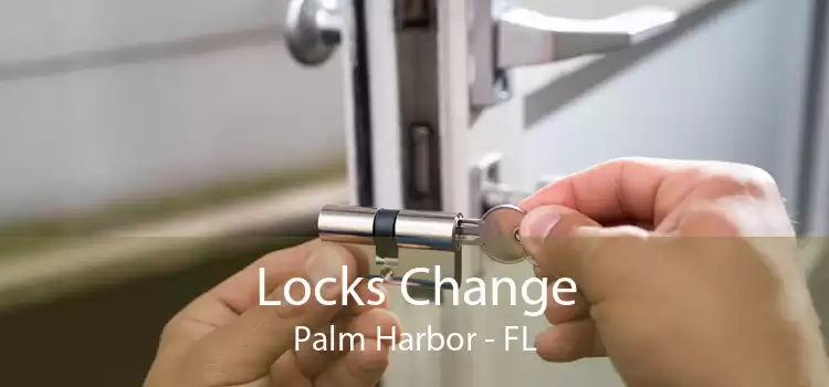 Locks Change Palm Harbor - FL