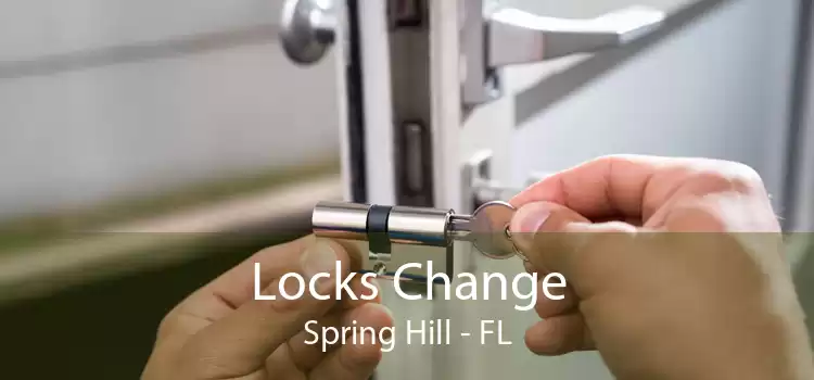 Locks Change Spring Hill - FL