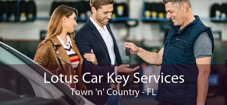 Lotus Car Key Services Town 'n' Country - FL