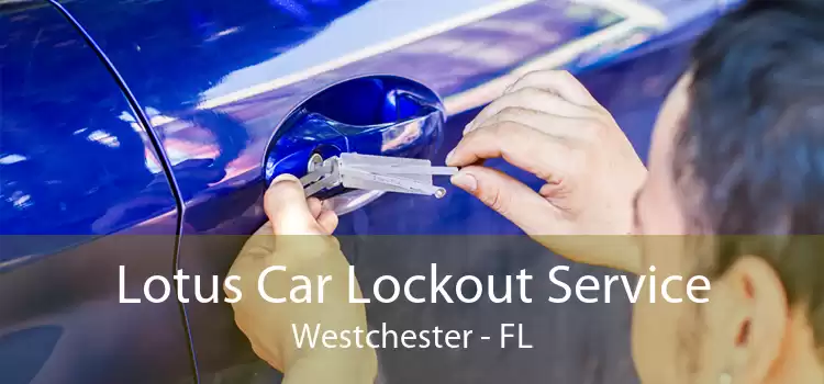 Lotus Car Lockout Service Westchester - FL