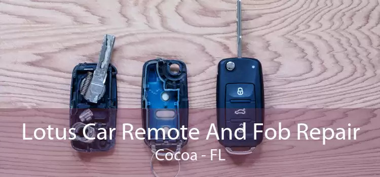 Lotus Car Remote And Fob Repair Cocoa - FL