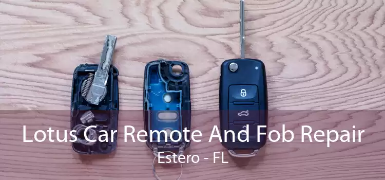 Lotus Car Remote And Fob Repair Estero - FL