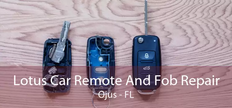 Lotus Car Remote And Fob Repair Ojus - FL