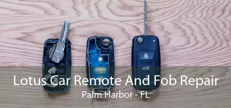 Lotus Car Remote And Fob Repair Palm Harbor - FL