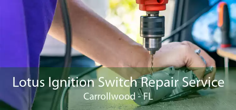 Lotus Ignition Switch Repair Service Carrollwood - FL