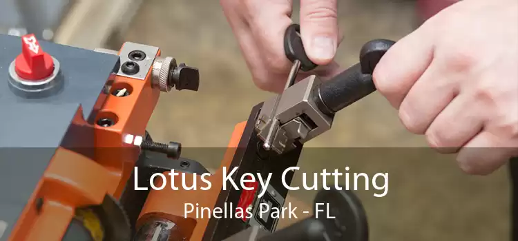 Lotus Key Cutting Pinellas Park - FL