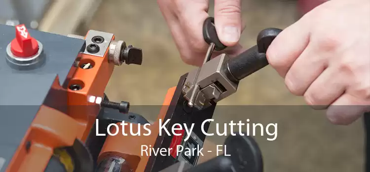 Lotus Key Cutting River Park - FL