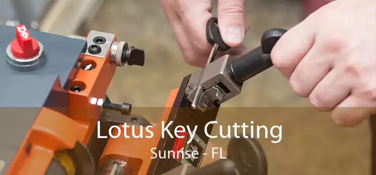 Lotus Key Cutting Sunrise - FL