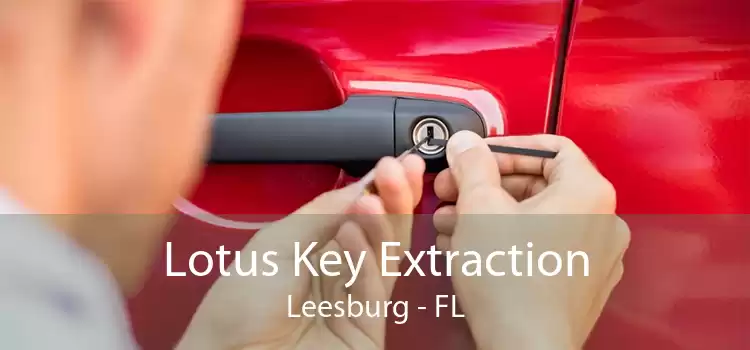 Lotus Key Extraction Leesburg - FL