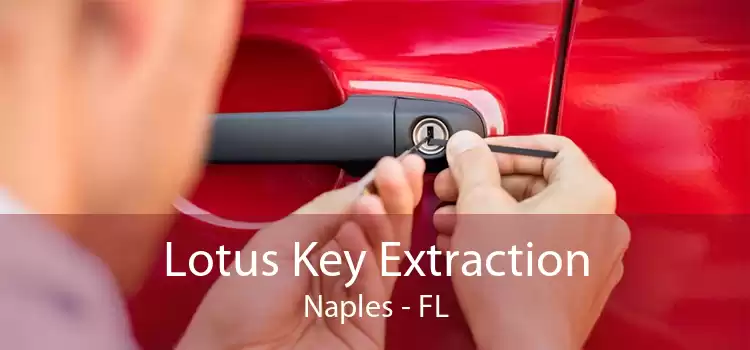 Lotus Key Extraction Naples - FL