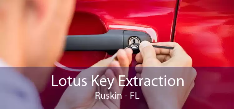 Lotus Key Extraction Ruskin - FL