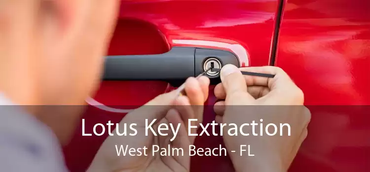 Lotus Key Extraction West Palm Beach - FL