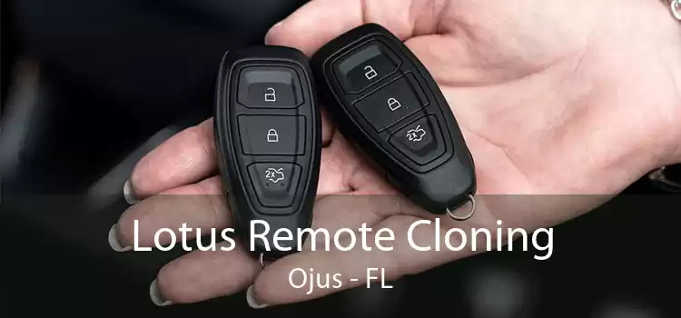Lotus Remote Cloning Ojus - FL
