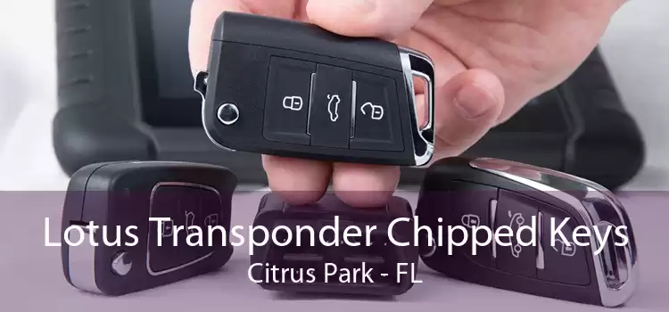 Lotus Transponder Chipped Keys Citrus Park - FL