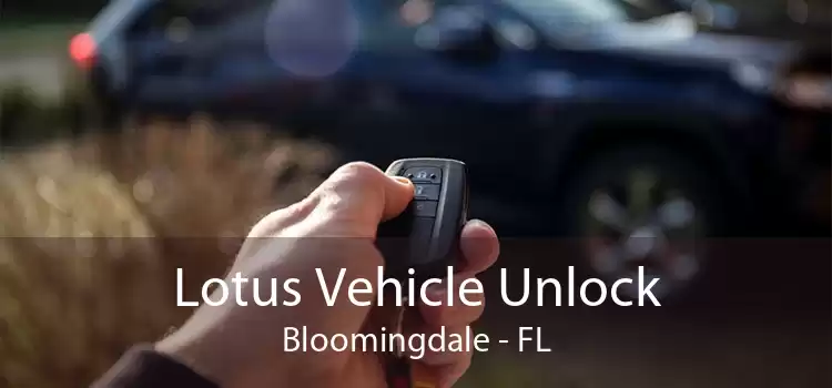 Lotus Vehicle Unlock Bloomingdale - FL