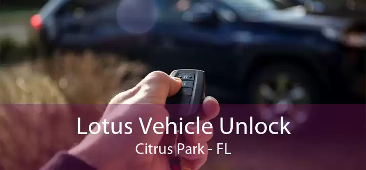 Lotus Vehicle Unlock Citrus Park - FL