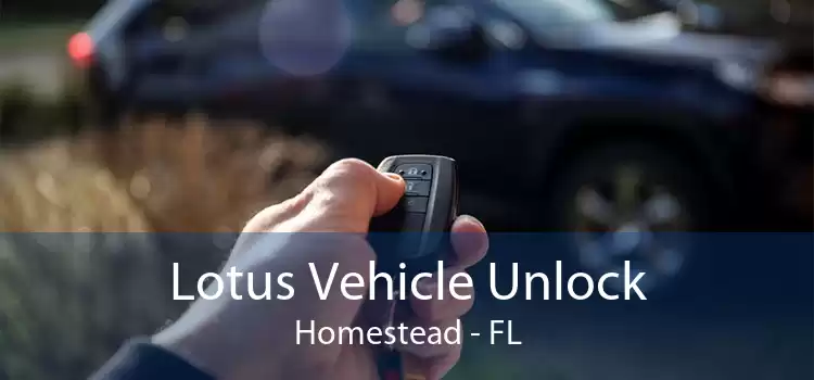 Lotus Vehicle Unlock Homestead - FL