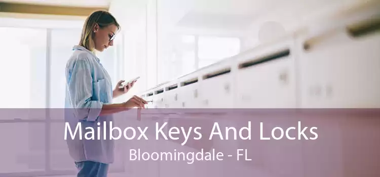 Mailbox Keys And Locks Bloomingdale - FL