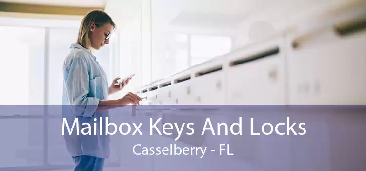 Mailbox Keys And Locks Casselberry - FL