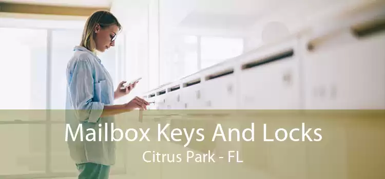 Mailbox Keys And Locks Citrus Park - FL
