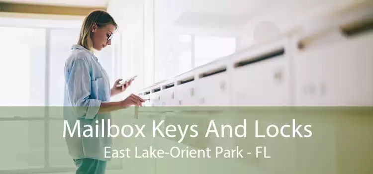 Mailbox Keys And Locks East Lake-Orient Park - FL