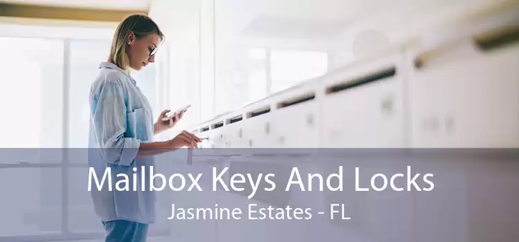 Mailbox Keys And Locks Jasmine Estates - FL