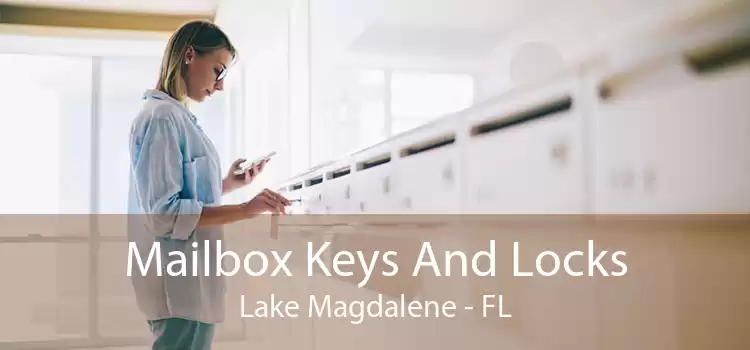 Mailbox Keys And Locks Lake Magdalene - FL