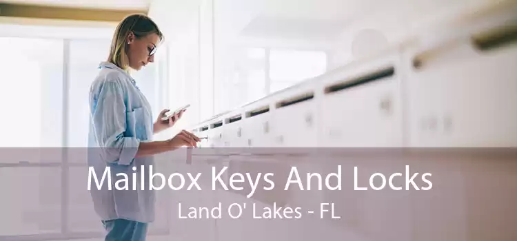 Mailbox Keys And Locks Land O' Lakes - FL