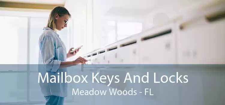 Mailbox Keys And Locks Meadow Woods - FL