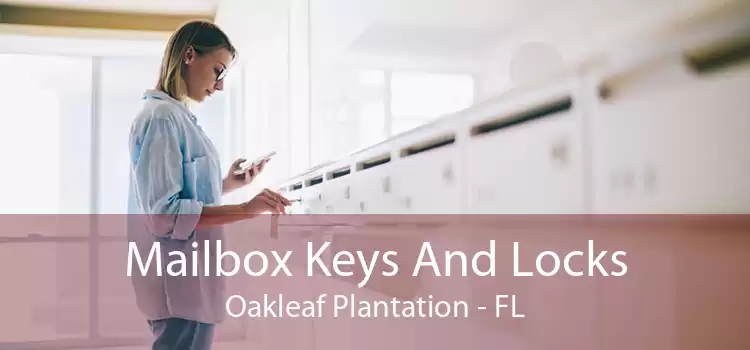 Mailbox Keys And Locks Oakleaf Plantation - FL