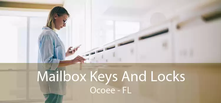 Mailbox Keys And Locks Ocoee - FL