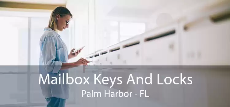 Mailbox Keys And Locks Palm Harbor - FL