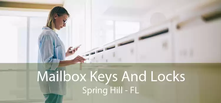 Mailbox Keys And Locks Spring Hill - FL