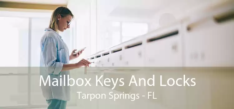 Mailbox Keys And Locks Tarpon Springs - FL