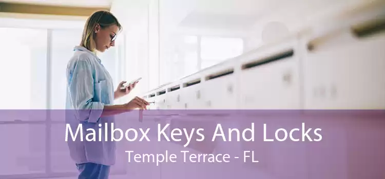 Mailbox Keys And Locks Temple Terrace - FL