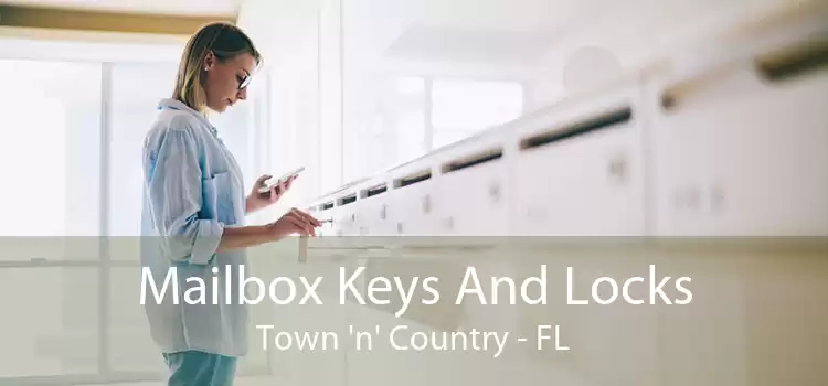 Mailbox Keys And Locks Town 'n' Country - FL