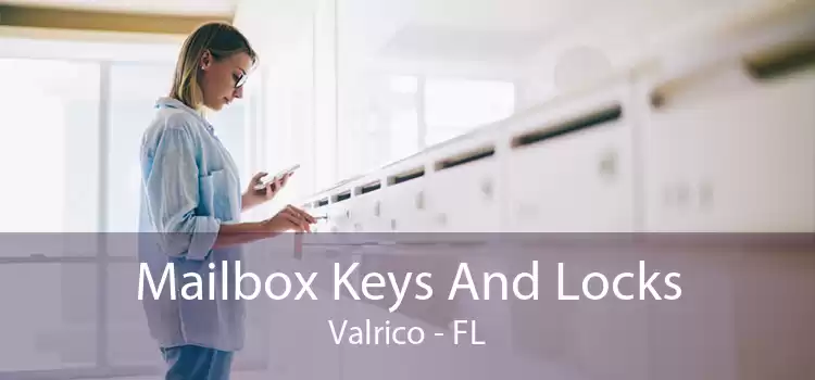 Mailbox Keys And Locks Valrico - FL