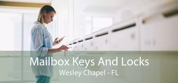 Mailbox Keys And Locks Wesley Chapel - FL